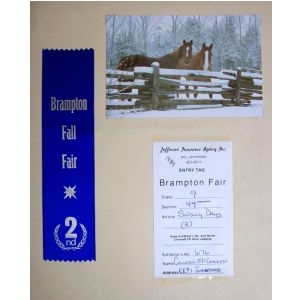 2nd place, snowy days, 1989