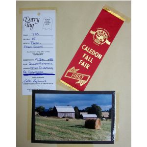 1st place, farm scene, 1998